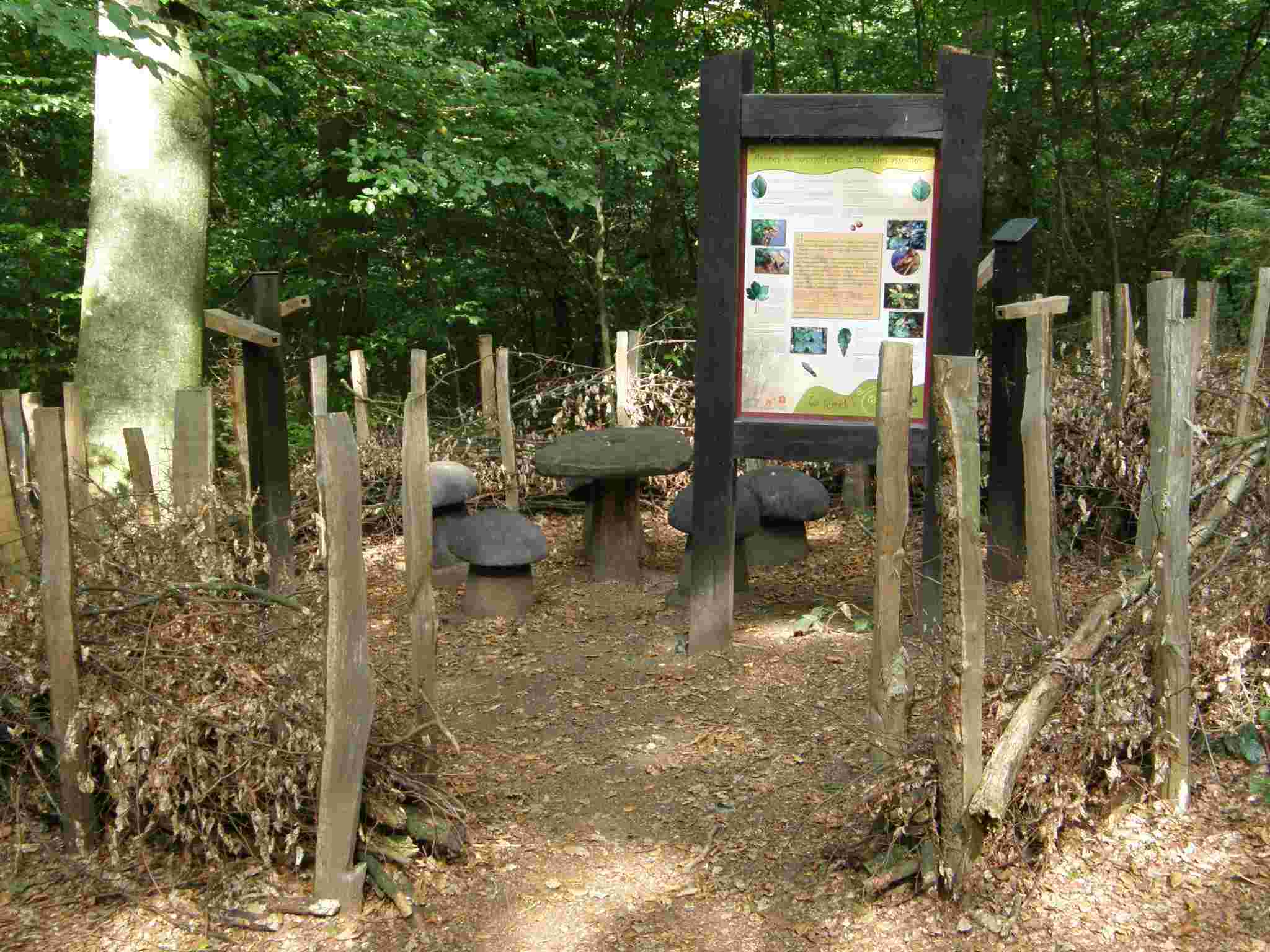 photo 2 promenade Blancs Bois Houffalize